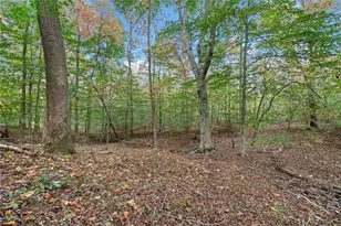 000 Ammons Dr, Waleska, GA 30183 - Photo 1