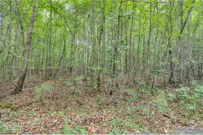 3735 Millstream Lane, Stockbridge, GA 30281 - Photo 7
