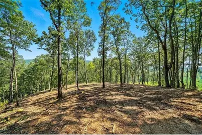 0 Debord Drive, Waleska, GA 30183 - Photo 25