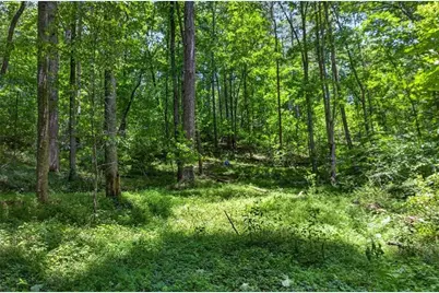 1965 Highway 52 E, Ellijay, GA 30536 - Photo 25