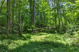 1965 Hwy 52 E, Ellijay, GA 30536 - Photo 25