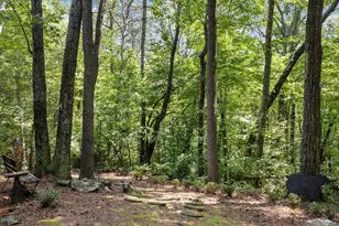 43 Jason Martin Circle, Cherrylog, GA 30522 - Photo 29