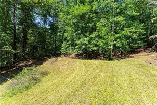 901 Peachtree Cove, Demorest, GA 30535 - Photo 11