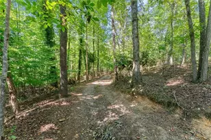 901 Peachtree Cove, Demorest, GA 30535 - Photo 9