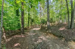 901 Peachtree Cove, Demorest, GA 30535 - Photo 9