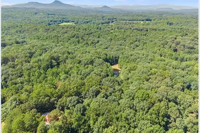 901 Peachtree Cove, Demorest, GA 30535 - Photo 25