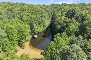 901 Peachtree Cove, Demorest, GA 30535 - Photo 19