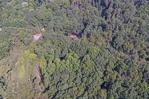 2590 Bettis Tribble Gap Rd, Cumming, GA 30040 - Photo 61