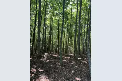 Tract A Oak Ledge Road, Morganton, GA 30560 - Photo 3