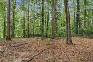 610 Ponderosa Ct, Fayetteville, GA 30214 - Photo 39