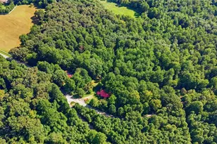 10740 Hwy 197 N, Clarkesville, GA 30523 - Photo 37
