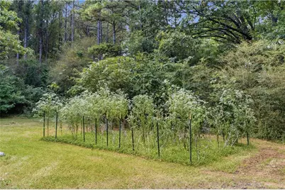 16 Hames Point, Adairsville, GA 30103 - Photo 49