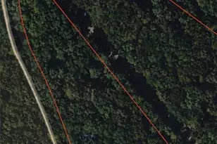 355 Harrison Ln, Ball Ground, GA 30107 - Photo 1