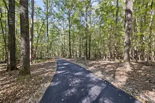 161 Hoot Owl Ln, Eatonton, GA 31024 - Photo 67