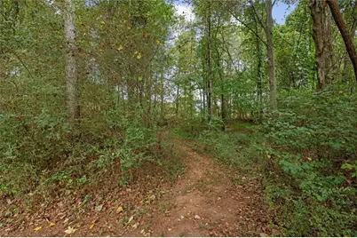 1003 Milligan Creek Road, Roopville, GA 30170 - Photo 33
