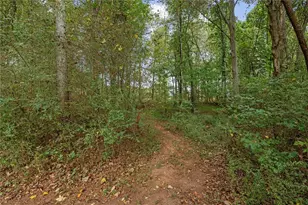 1003 Milligan Creek Rd, Roopville, GA 30170 - Photo 33