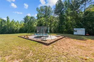 1003 Milligan Creek Rd, Roopville, GA 30170 - Photo 41