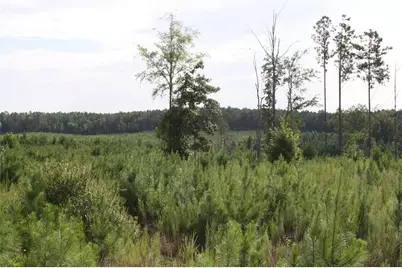 0 Balerma Church Road, Sparta, GA 31087 - Photo 5