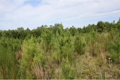 0 Balerma Church Road, Sparta, GA 31087 - Photo 15