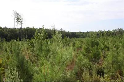 0 Balerma Church Road, Sparta, GA 31087 - Photo 17