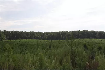 0 Balerma Church Road, Sparta, GA 31087 - Photo 11
