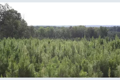 0 Balerma Church Road, Sparta, GA 31087 - Photo 3