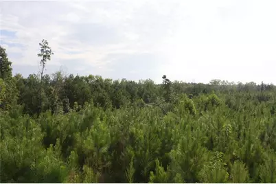 0 Balerma Church Road, Sparta, GA 31087 - Photo 13