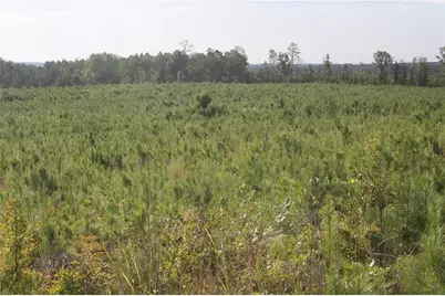0 Balerma Church Road, Sparta, GA 31087 - Photo 3