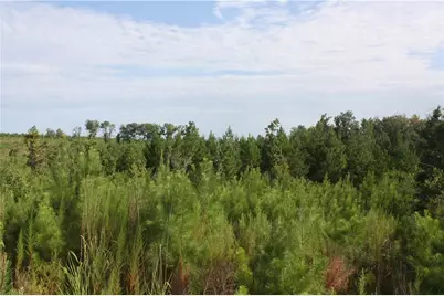 0 Balerma Church Road, Sparta, GA 31087 - Photo 11