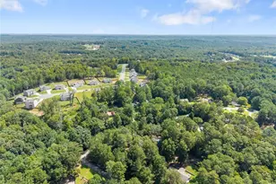 4444 Bos Way, Loganville, GA 30052 - Photo 53