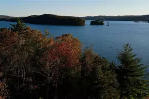 196 N Jakes Landing Way N, Ellijay, GA 30540 - Photo 67