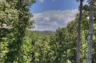 196 N Jakes Landing Way, Ellijay, GA 30540 - Photo 55