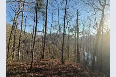 0 Elk Trail, Talking Rock, GA 30175 - Photo 5