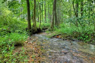 606 Johntown Rd, Ellijay, GA 30536 - Photo 7
