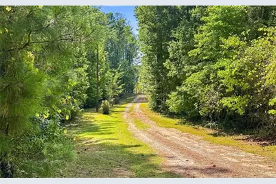 2762 Lester Mill Road, Locust Grove, GA 30248 - Photo 45
