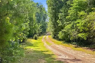2762 Lester Mill Rd, Locust Grove, GA 30248 - Photo 45