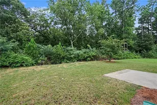 59 Osprey Overlook Dr, Braselton, GA 30517 - Photo 19