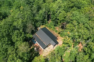 100 Ford Ln, Morganton, GA 30560 - Photo 17