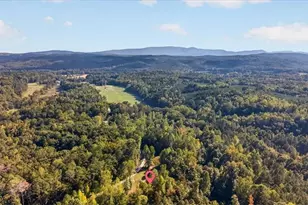 905 Hancock Mountain Trail, Waleska, GA 30183 - Photo 51