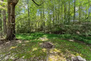 4465 Carters Creek Ln, Cumming, GA 30040 - Photo 61