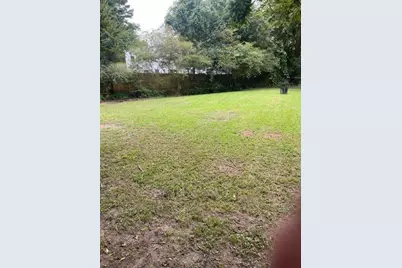 203 Briarwood Drive, Dallas, GA 30132 - Photo 3