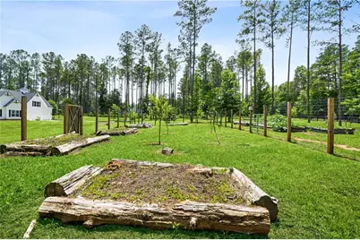 695 Dead Oak Road, Senoia, GA 30276 - Photo 33