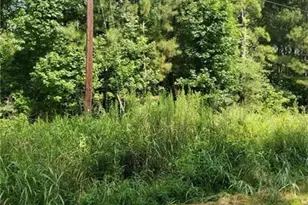 000 Dean Rd, Aragon, GA 30104 - Photo 3