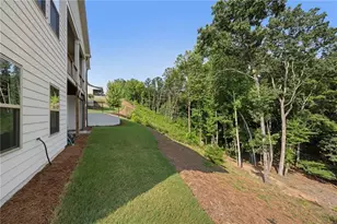 111 Summit View Ct, Canton, GA 30114 - Photo 61