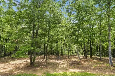 145 Ridgeline Road, Talking Rock, GA 30175 - Photo 45