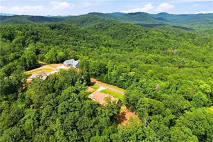 145 Ridgeline Rd, Talking Rock, GA 30175 - Photo 59