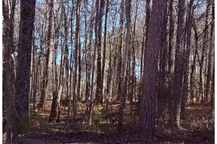 3297 Lakeview Pkwy, Villa Rica, GA 30180 - Photo 1