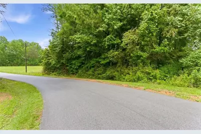 0 Lee Road, Cedartown, GA 30125 - Photo 3