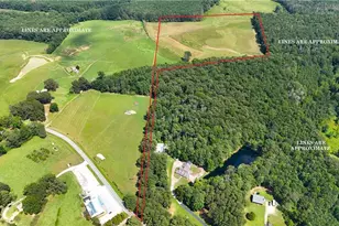 00001 Steadman Rd, Tallapoosa, GA 30176 - Photo 1