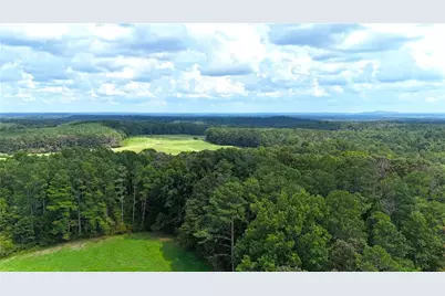 00001 Steadman Road, Tallapoosa, GA 30176 - Photo 5
